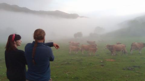 goteo rural